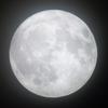 LUNARHOLIC