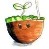 Salada_home