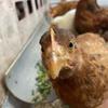 KADUUKI