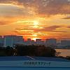 トムソン12