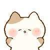 よしーかわ