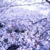 ichiyui_09
