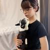 清野優美　せいのゆみ