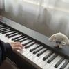 ちゃるピアノ