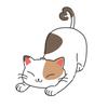 PET PINA