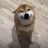 まふ☆写真加工