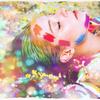 prismiris