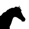 Pedigree Analyst
