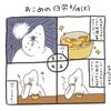 おこめの人