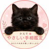 かえで｜やさしい手相鑑定
