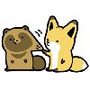 タヌキ キツネ