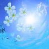 eternal☆changing