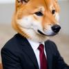 柴犬　ユウタ