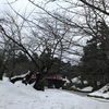 てまさん