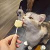 ねこあられ