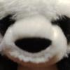 大和なでしこ