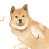 ほたる2013