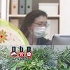 pbpデザイン企画