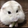 ななこ7023