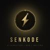 Senkode
