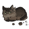 ikayaki