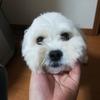 ふなりょ