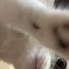 ひろきしゃちょー