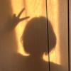 すず　現役の理系大学生