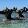 真奈美0825