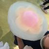 困ったちゃん