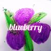 blueberry83