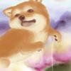 こももん。！