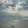 現役調理師