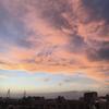 Herkullista teeta
