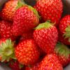 中島瑞恵