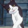 Neko4435