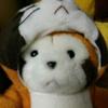 Okabe Tomohiro