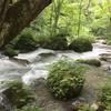 水森あやの