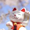 まねきねこ なかま