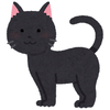 kokocat373