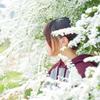 photo cerisier 宇水