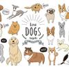 doggggg