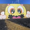 オカトラ