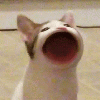 lin_0u0