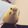 ミレミレ