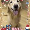 【オンライン家庭教師】はる