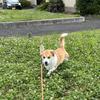 あかね834