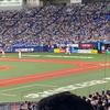 Sankoomi