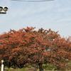 norihisa0328