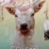 cotaro0517
